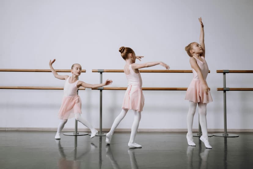 Dance Studio Management Software: Features, Selection & Implementation